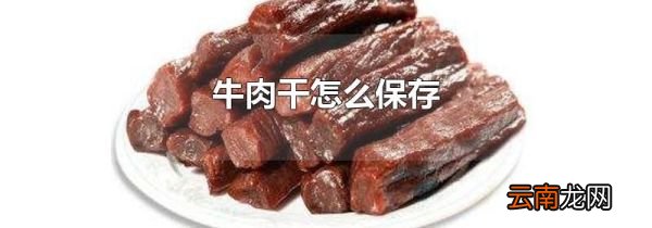牛肉干怎么保存
