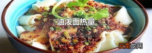 油泼面热量