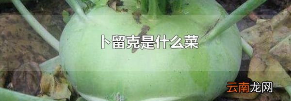 卜留克是什么菜