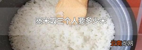 蒸米饭三个人要多少米