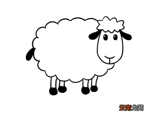 卡通简笔画