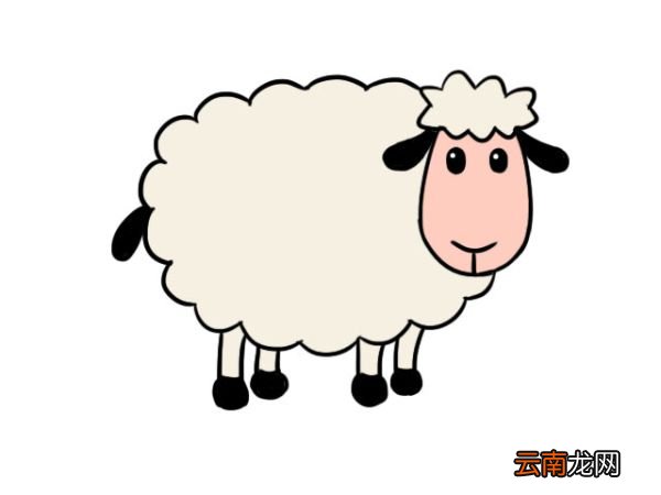 卡通简笔画