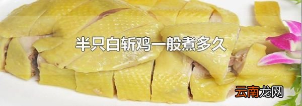 半只白斩鸡一般煮多久