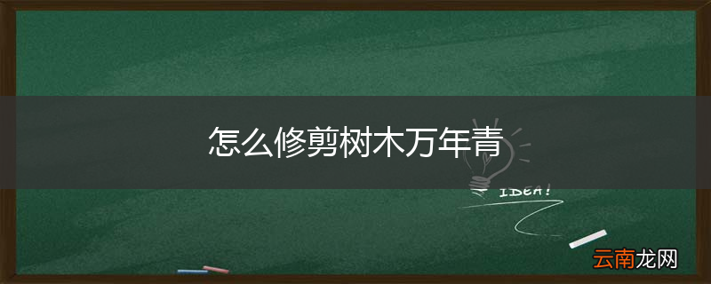 怎么修剪树木万年青