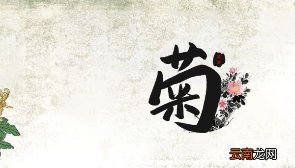 此花开尽更无花的全诗 《菊花》注释