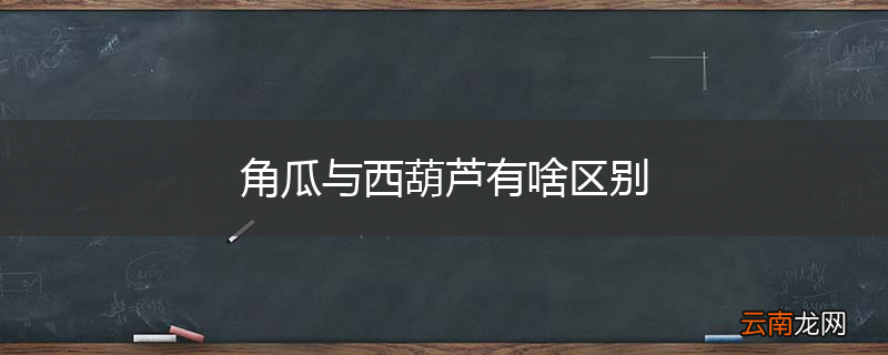 角瓜与西葫芦有啥区别