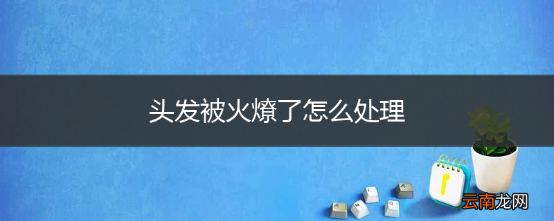 头发被火燎了怎么处理
