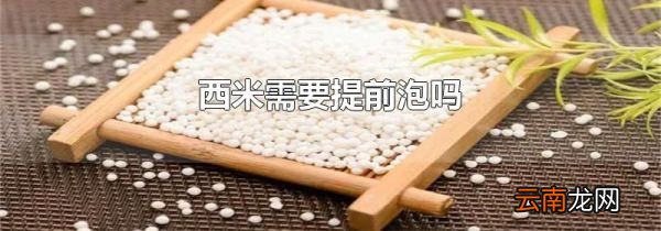 西米需要提前泡吗