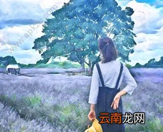 Versa怎么用