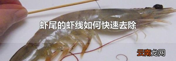 虾尾的虾线如何快速去除