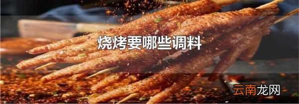 烧烤要哪些调料