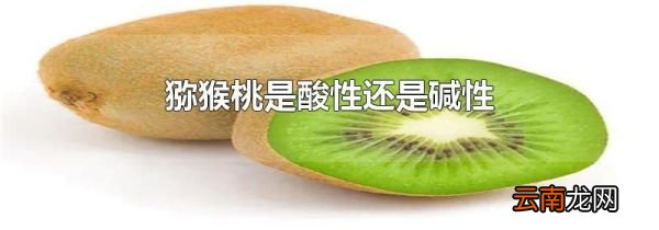 猕猴桃是酸性还是碱性