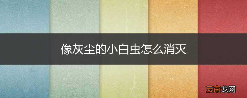 像灰尘的小白虫怎么消灭