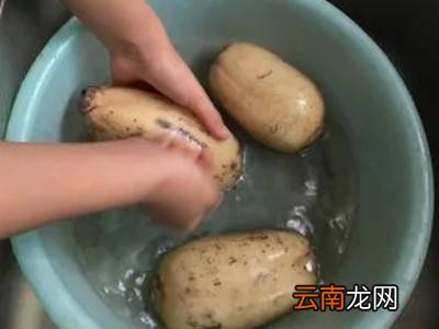白莲藕怎么保存方法