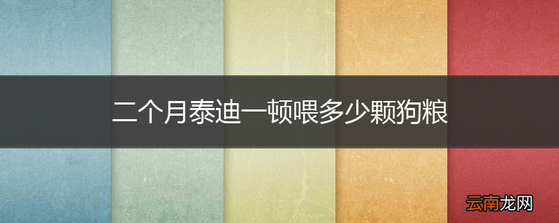 二个月泰迪一顿喂多少颗狗粮