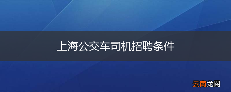 上海公交车司机招聘条件