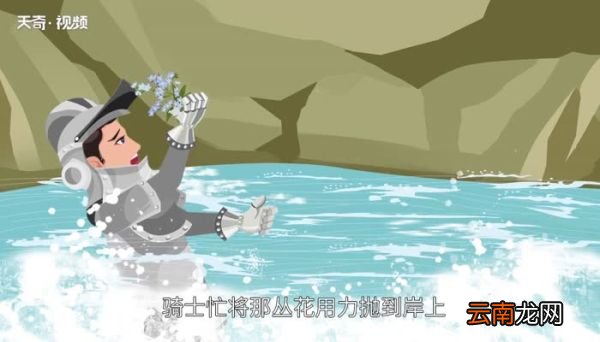 勿忘我的花语是什么 勿忘我的花语