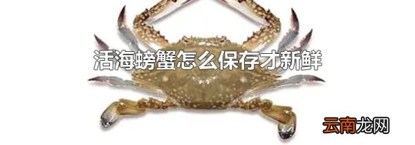活海螃蟹怎么保存才新鲜