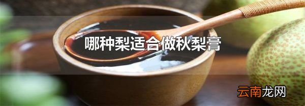 哪种梨适合做秋梨膏
