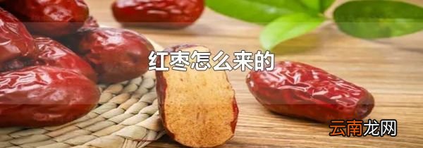 红枣怎么来的