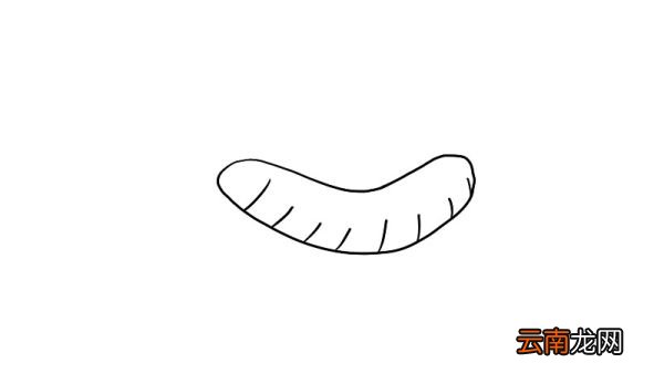 热狗简笔画怎么画怎么画热狗简笔画