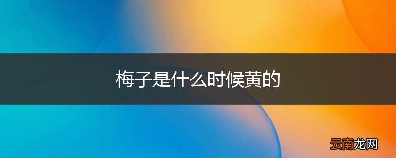梅子是什么时候黄的