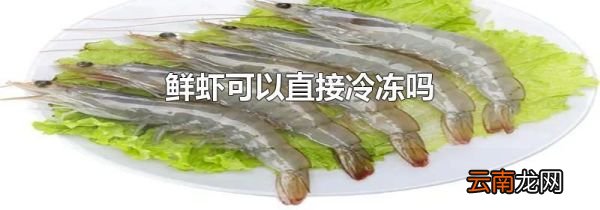 鲜虾可以直接冷冻吗