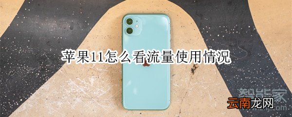 苹果11怎么看流量使用情况