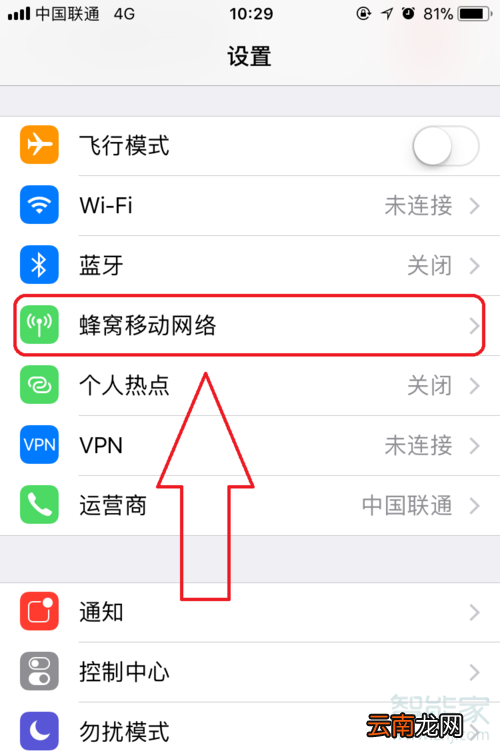 苹果11怎么看流量使用情况