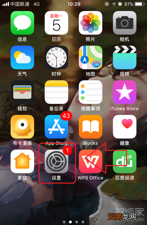 苹果11怎么看流量使用情况