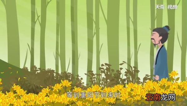 过故人庄的诗意是什么 过故人庄的诗意