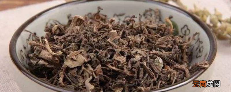 干马齿苋用热水泡还是冷水泡