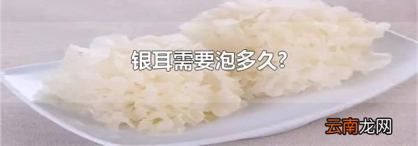 银耳需要泡多久?