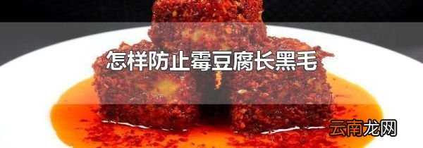 怎样防止霉豆腐长黑毛