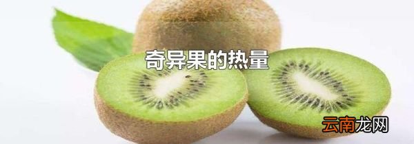 奇异果的热量