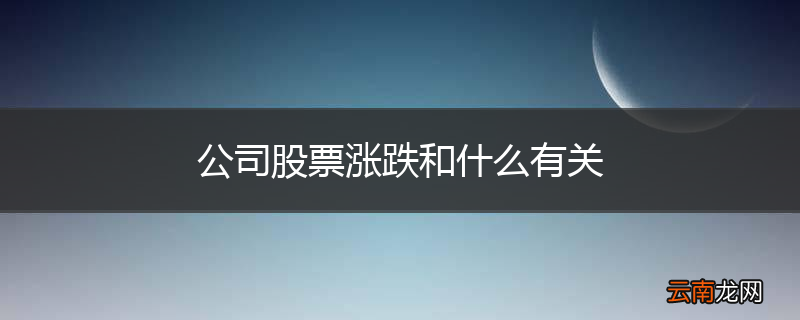 公司股票涨跌和什么有关