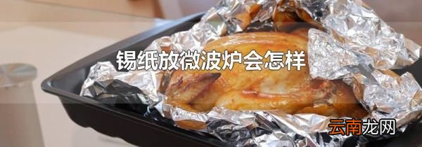 锡纸放微波炉会怎样