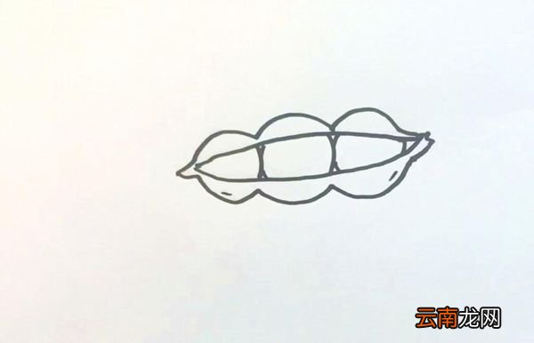 豌豆简笔画