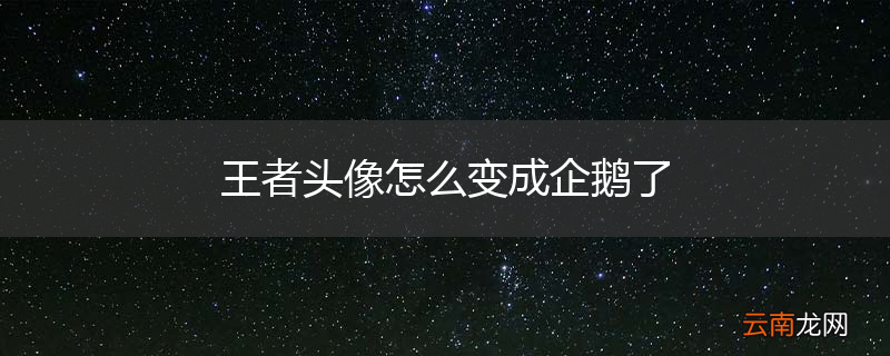 王者头像怎么变成企鹅了