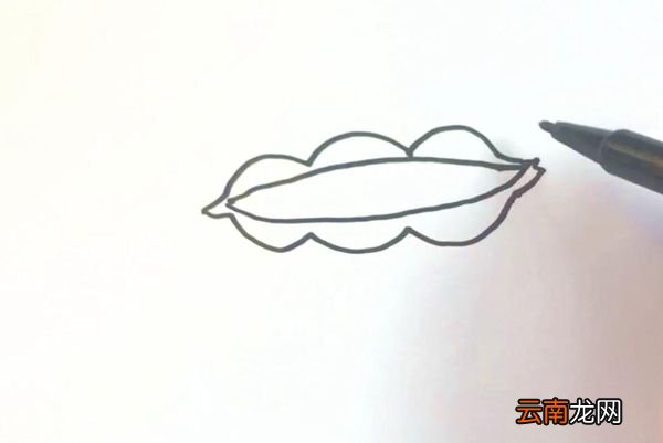 豌豆简笔画