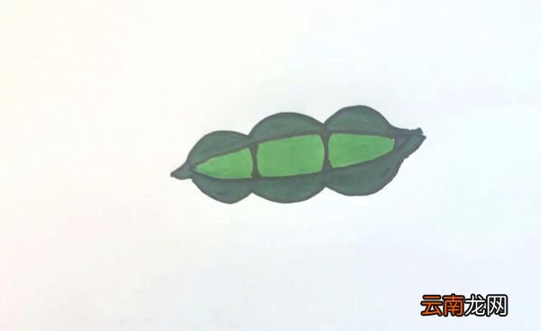 豌豆简笔画