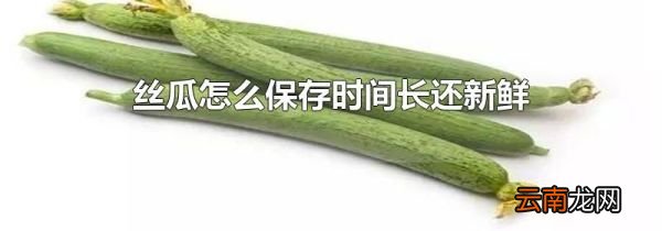 丝瓜怎么保存时间长还新鲜