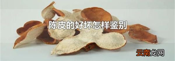 陈皮的好坏怎样鉴别