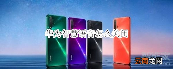 华为智慧语音怎么关闭
