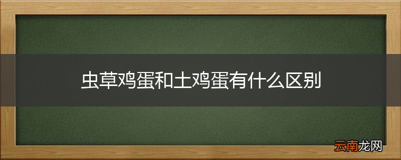 虫草鸡蛋和土鸡蛋有什么区别