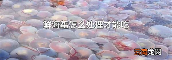 鲜海蜇怎么处理才能吃