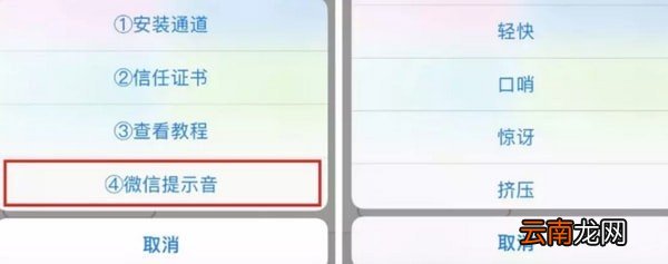 苹果手机中更改微信提示音具体操作步骤