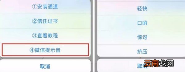 苹果手机中更改微信提示音具体操作步骤