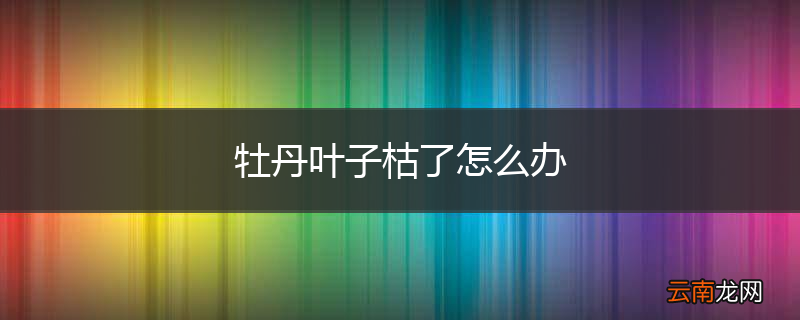 牡丹叶子枯了怎么办