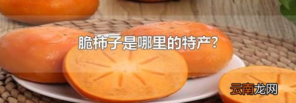 脆柿子是哪里的特产?